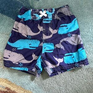 Circo swimsuit 18 month